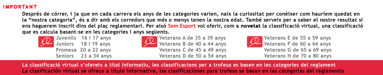 Classificaci� virtual