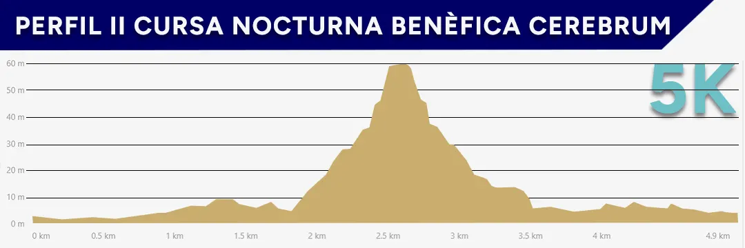 Perfil de la II Cursa nocturna benéfica Cerebrum