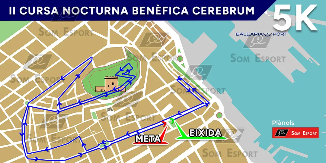 Plano de la II Cursa nocturna benéfica Cerebrum