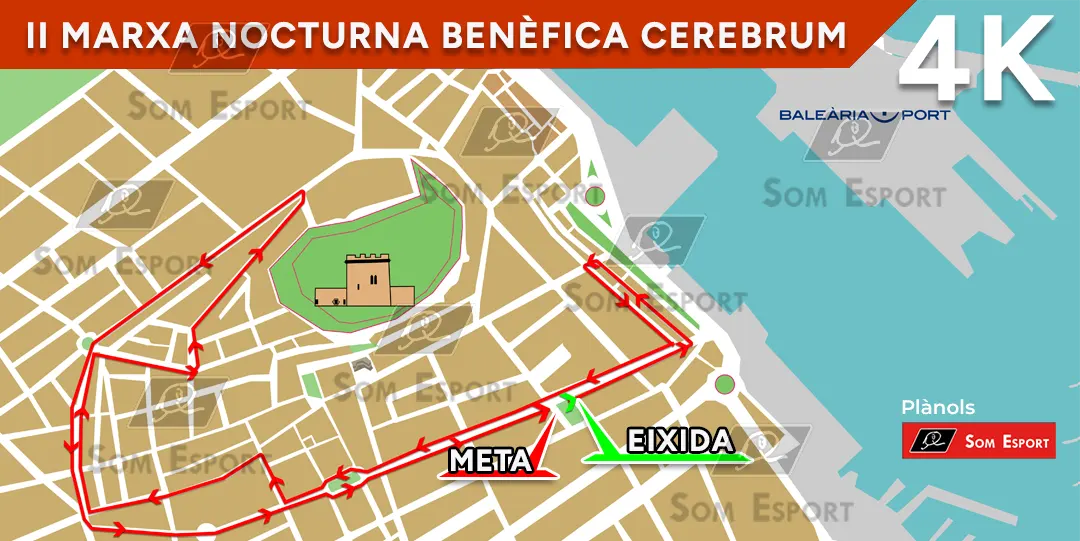 II Marxa nocturna Benefica Cerebrum