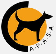 Apasa Javea